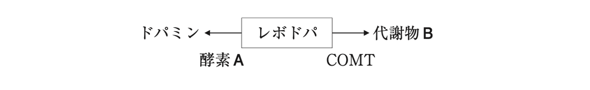 解説画像
